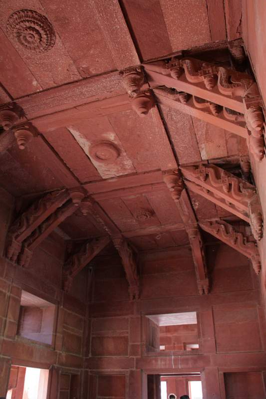 India & Nepal 2011 - 1308